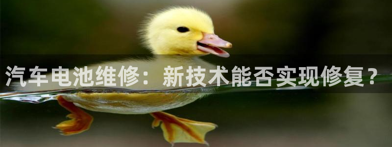优发国际网官