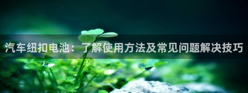 优发国际多少钱