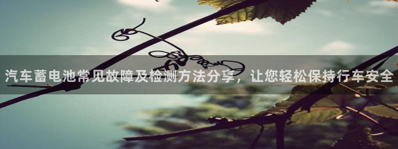 优发国际多少钱