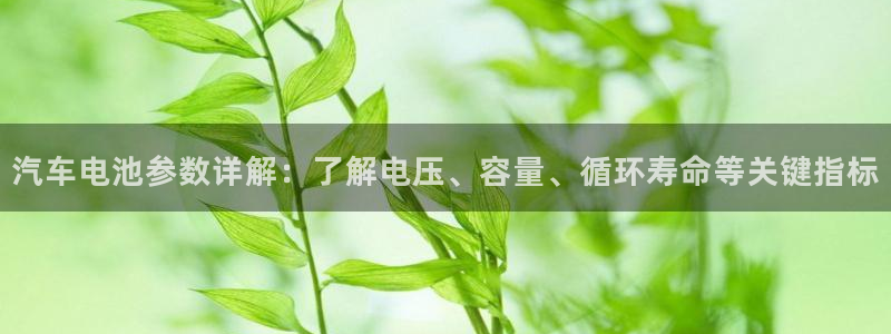 优发国际官方网手机版下载