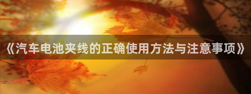 优发国际官网手机版