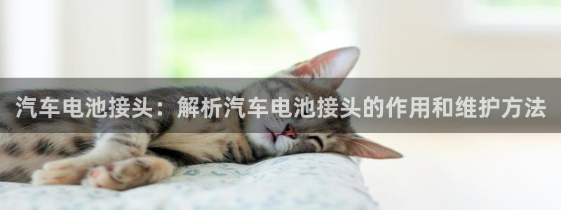 优发国际官方网平台电话
