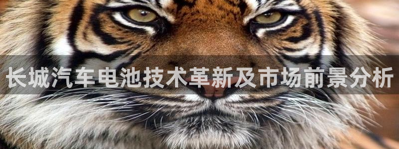 优发国际手机客户端下载安装