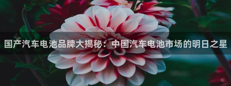 优发国际手机客户端下载安装不了