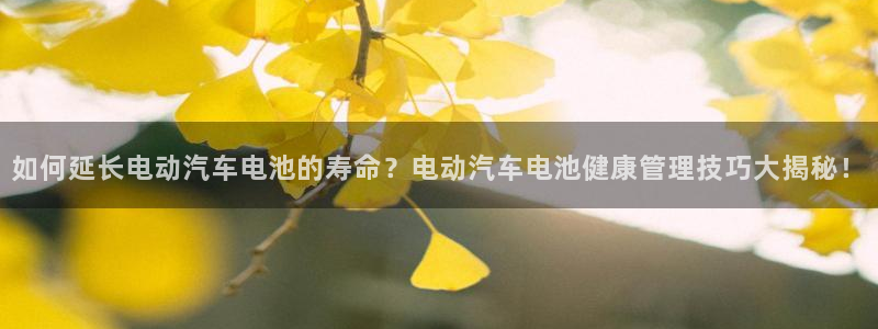 优发国际平台18岁能做吗