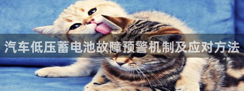 优发国际可以玩吗