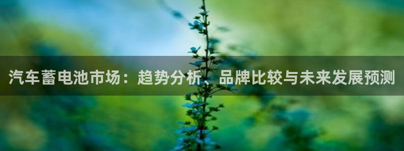 优发国际是大平台吗是真的吗