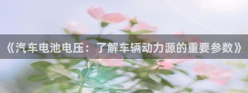 优发国际手机版唯一官网是什么