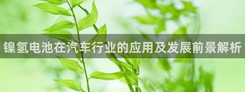 优发国际平台