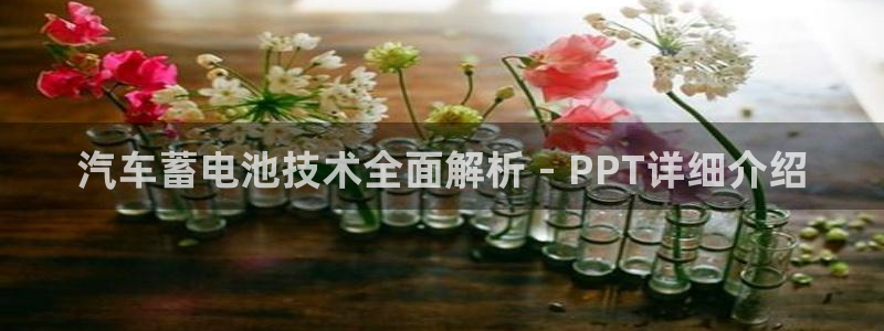 优发国际官网下载安装app