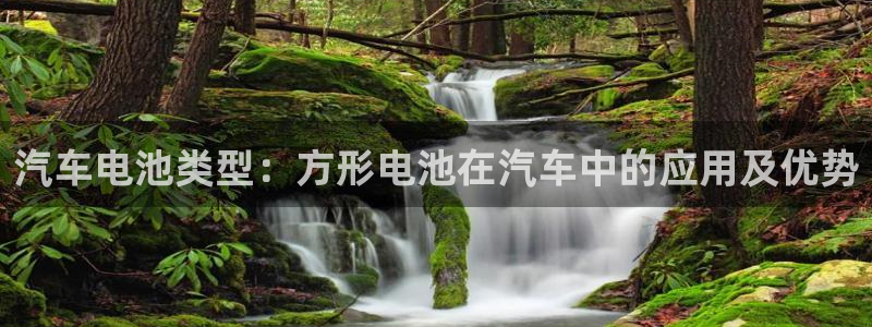 优发国际客服联系方式查询