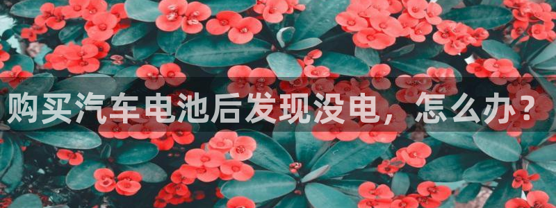 优发国际平台手机版下载安装