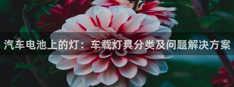 优发国际下载app