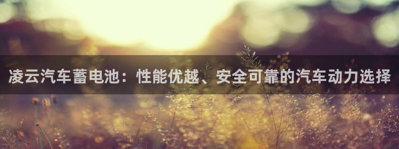 优发国际手机版客户端下载安装