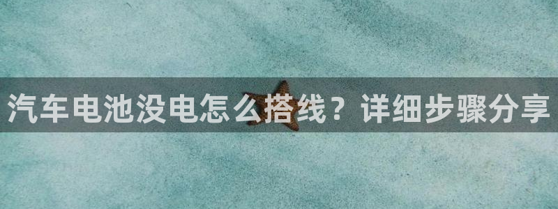 优发国际手机版唯一官网