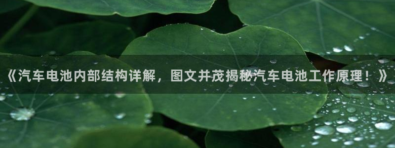 优发国际手机版客户端下载安装