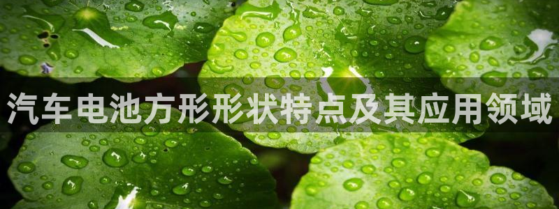 优发国际官网官方网址