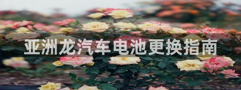 优发国际这个平台怎么样啊