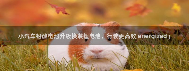 优发国际网官网17o8