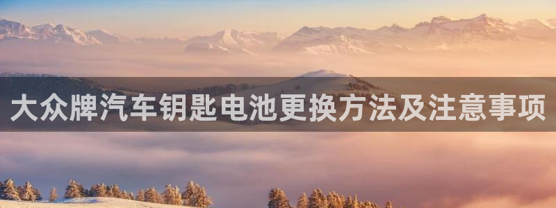 优发国际平台g8