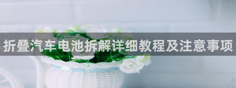 优发国际平台手机版下载安装