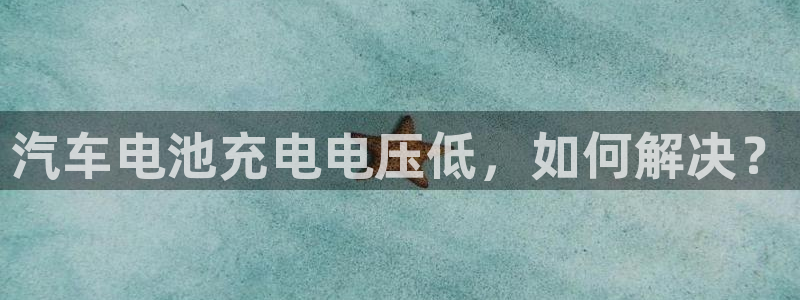 优发国际手机版唯一官网