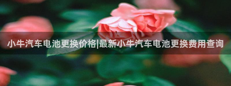 优发国际网官网址是多少