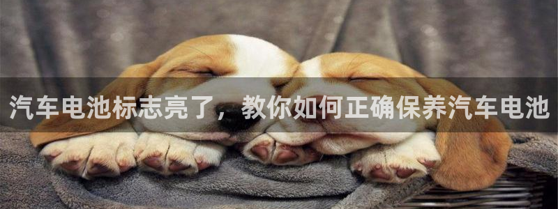 优发国际下载