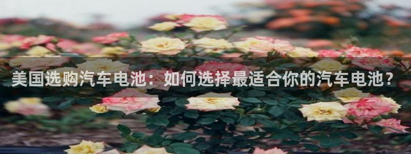 优发国际电话