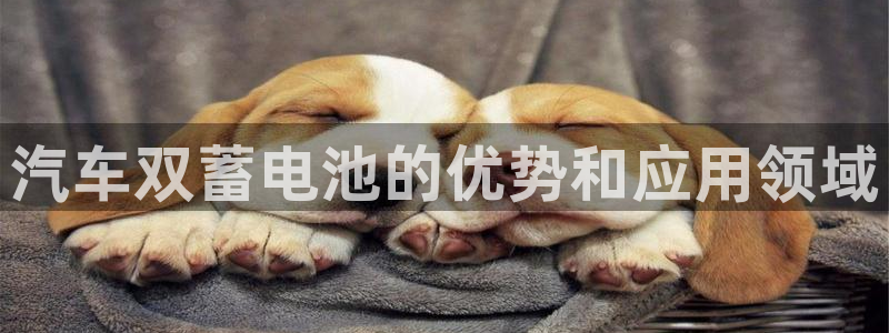 优发国际手机客户端官网首页