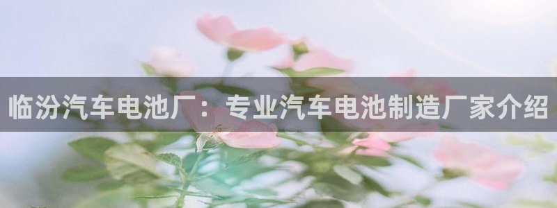 优发国际线上娱官网