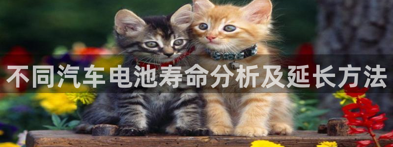 优发国际官网是多少