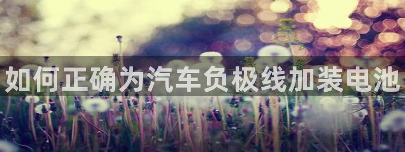 优发国际的官网是