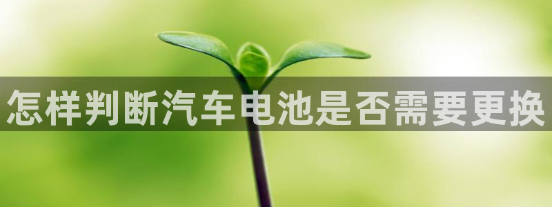 优发国际首页