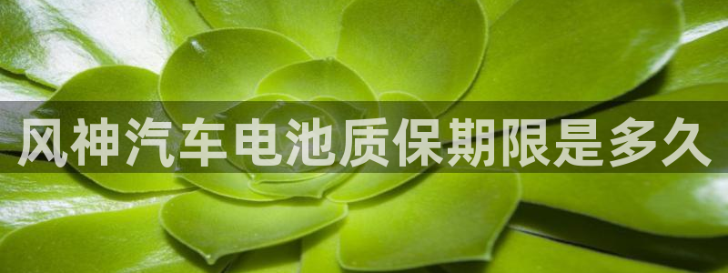 优发国际网页
