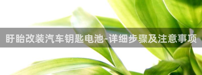 优发国际平台手机版下载