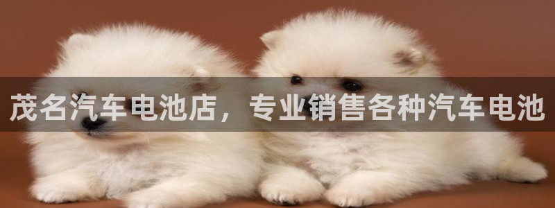 优发国际bob