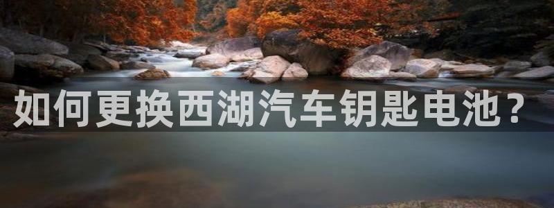 优发国际手机客户端下载安装手机版