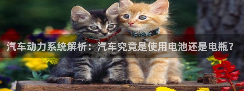 优发国际客服联系方式电话