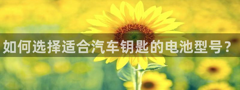 优发国际是大平台吗还是小平