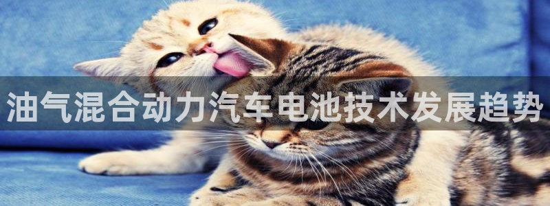 优发国际官网手机号