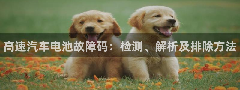 优发国际在哪里下载