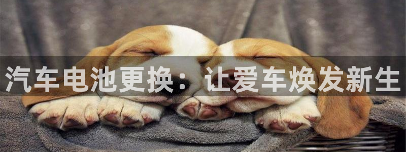 优发国际这个平台怎么样啊