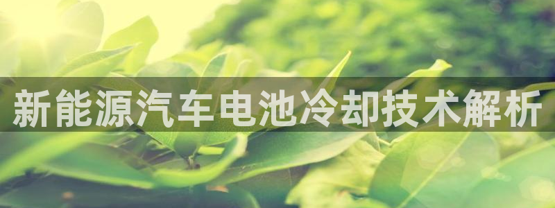 优发国际手机版下载
