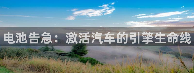 优发国际平台u8是什么公司