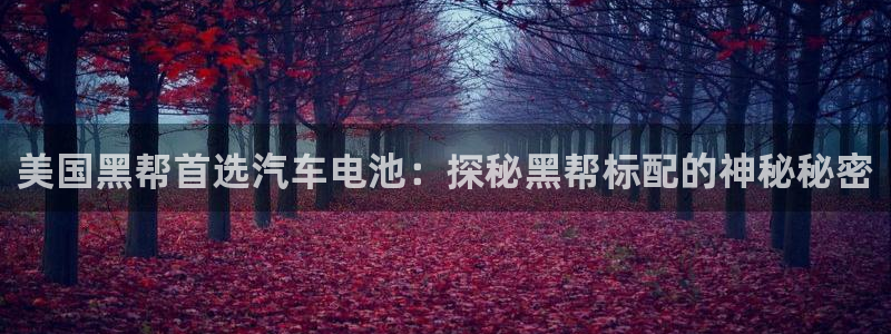 优发国际这个平台怎么样啊