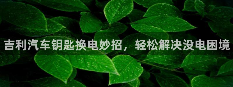 优发国际平台u8怎么样可靠吗