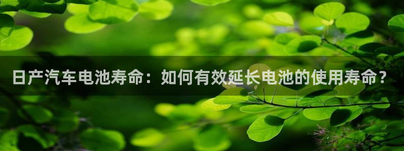 优发国际手机版官网入口