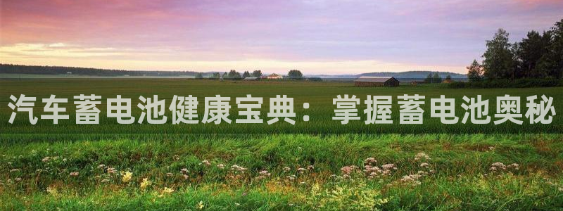 优发国际app官网下载安装手机版