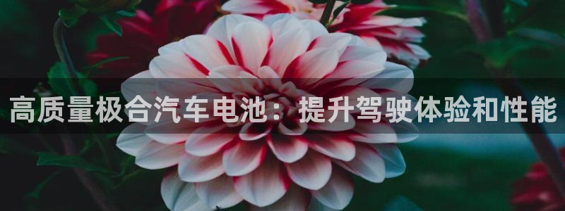 优发国际最新网站下载